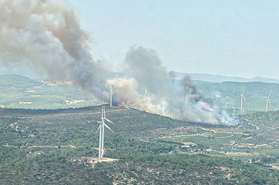 Urla'da orman yangını!