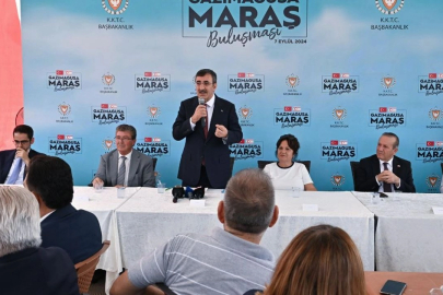 Cumhurbaşkanı Yardımcısı Yılmaz, 