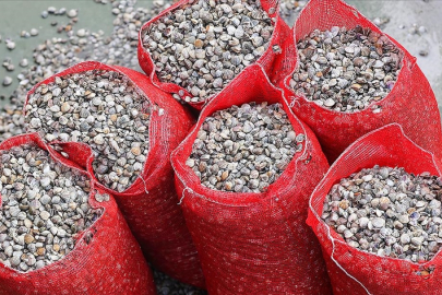 Tarım ve Orman Bakanlığı 1,2 ton canlı kum midyesine el koydu