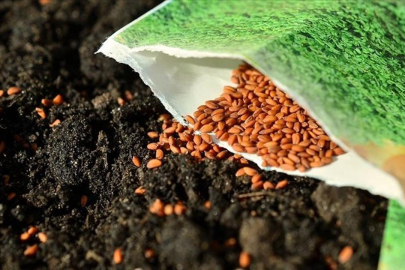 İsrail ile ticaretin durdurulması tohum sektörünü olumsuz etkilemedi