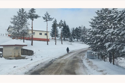 Karadeniz'de kar hayatı olumsuz etkiledi