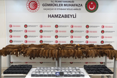 155 samur postu ve 239 akıllı cep telefonu ele geçirildi