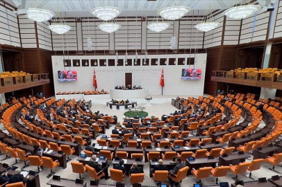 Bağımsız milletvekili sayısı, 28. Yasama Dönemi'nde zirveye çıktı