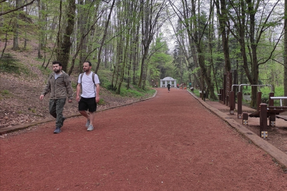 Belgrad Ormanı'na girişte HGS'ye geçilmesi araç trafiğini sonlandırdı
