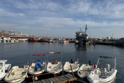 Balıkçılar yeni yılda hamsi ve çinekoptan umutlu