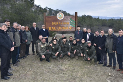 827'nci Bal Ormanı Sinop'ta kuruldu