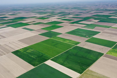 Yeni KOP Eylem Planı Konya Ovası'nı  canlandıracak