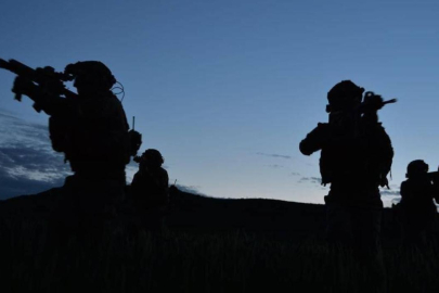 PKK'lı 2 terörist teslim oldu