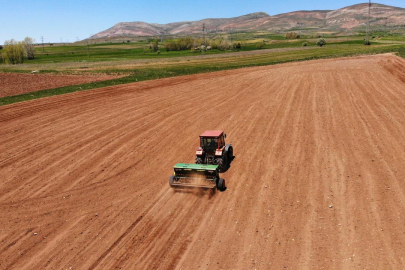Tarım ÜFE ocakta arttı