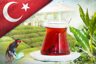 Türk çayı 1,2 milyon dolar kazandırdı