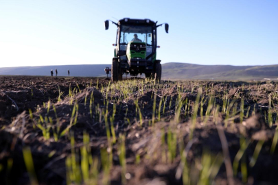 Çiftçilere 2,6 milyar liralık destek ödemesi yapılacak