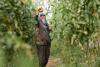 Üreticiler, yeni tarımsal desteklerle daha da güç kazanacak