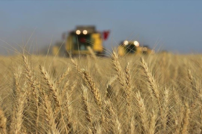 Türkiye, tarımsal hasılada Avrupa'da lider