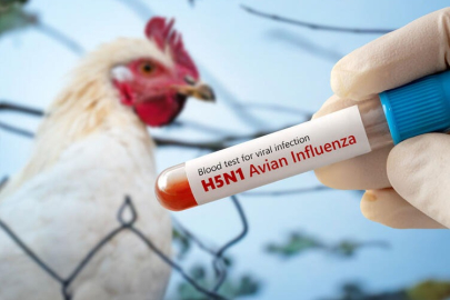 ‘H5N1’ MEKSİKA’DA CAN ALDI