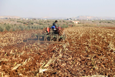 Çiftçilere 5,5 milyar lira destek ödemesi