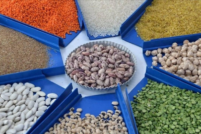 Güneydoğu'nun hububat ihracatı arttı
