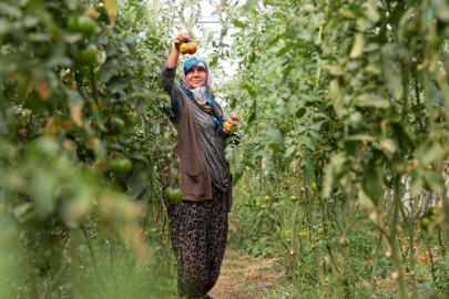 Kırsal kalkınma destekleri için son başvuru 21 Nisan