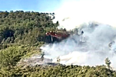 Antalya'da iki bölgede orman yangını çıktı