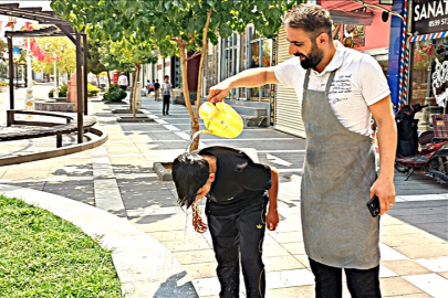 BU HAFTA HAVA NASIL OLACAK?